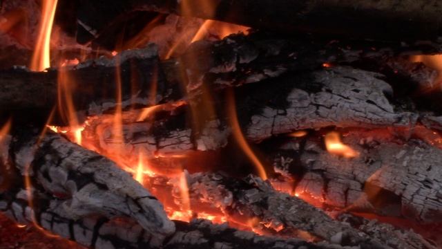 Одиночное Выживание в диком зимнем лесу с костром и решеткой для гриля смотреть онлайн