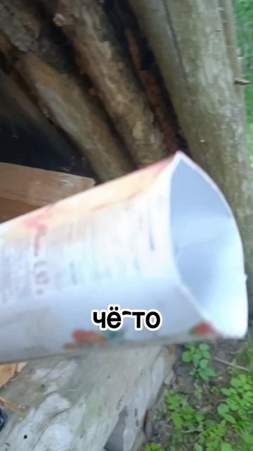 заброшенная стоянка, случайно наткнувшись в непроходимом лесу