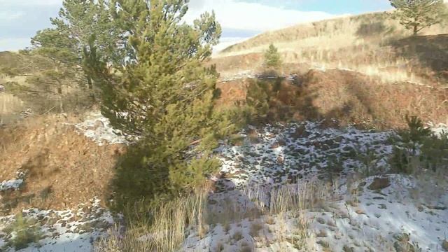 охота на зайца смотреть онлайн