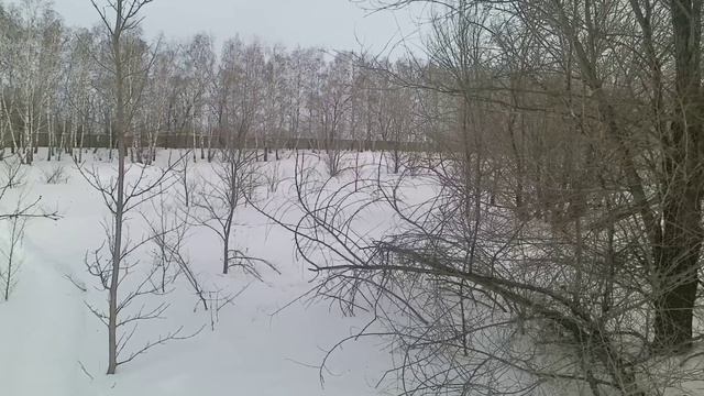 Заяц в броне желете или не везуха смотреть онлайн