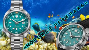 ТОП!!! / «МОРСКАЯ ЧЕРЕПАХА» / ЛУЧШИЙ ДАЙВЕР ЗА 150$ /  BERNY AM1970 / №200