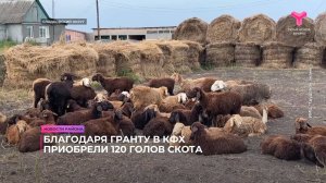 Новости Сладковского района | 30.07.2025