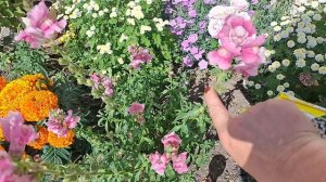 30.07.2025 обход огорода