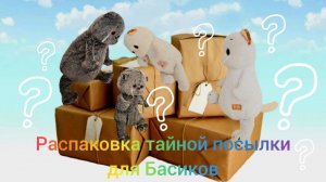 Басики и Лили получили тайную посылку!  Распаковка! КотоКсю 🐱