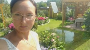 Прогноз погоды с 6 соток 30 июля 2025 года.))