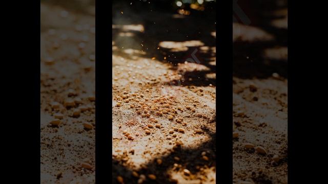 Пыльная дорога ... смотреть онлайн