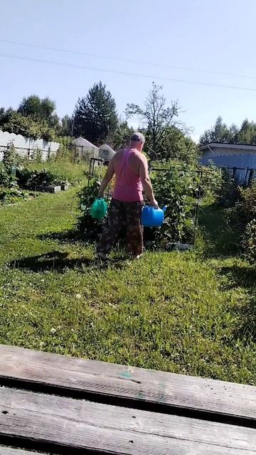 Собрал урожай и полил огород. смотреть онлайн