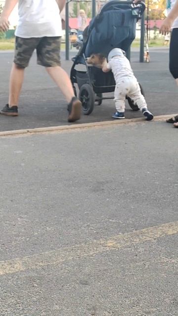 Палкаша.mp4 смотреть онлайн