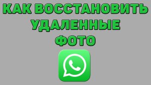 Как восстановить удаленные фото в Ватсапе