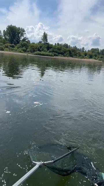 Ну вот и я отловился в этом году смотреть онлайн