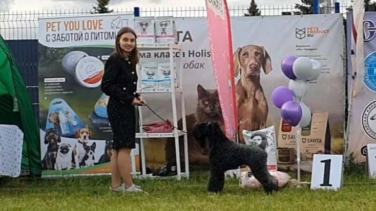 31.05.2025, Псков. Клуб КСиДС (РКФ, РФСС). Открытый конкурс "ШОУ ЧЕМПИОНОВ" смотреть онлайн