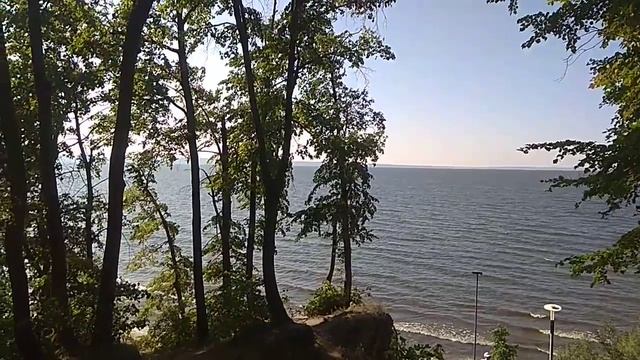 Неожиданная встреча. 27.07.25 г. смотреть онлайн