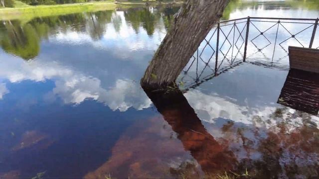 Набережная реки Луга, г. Луга, июль 2025г. смотреть онлайн