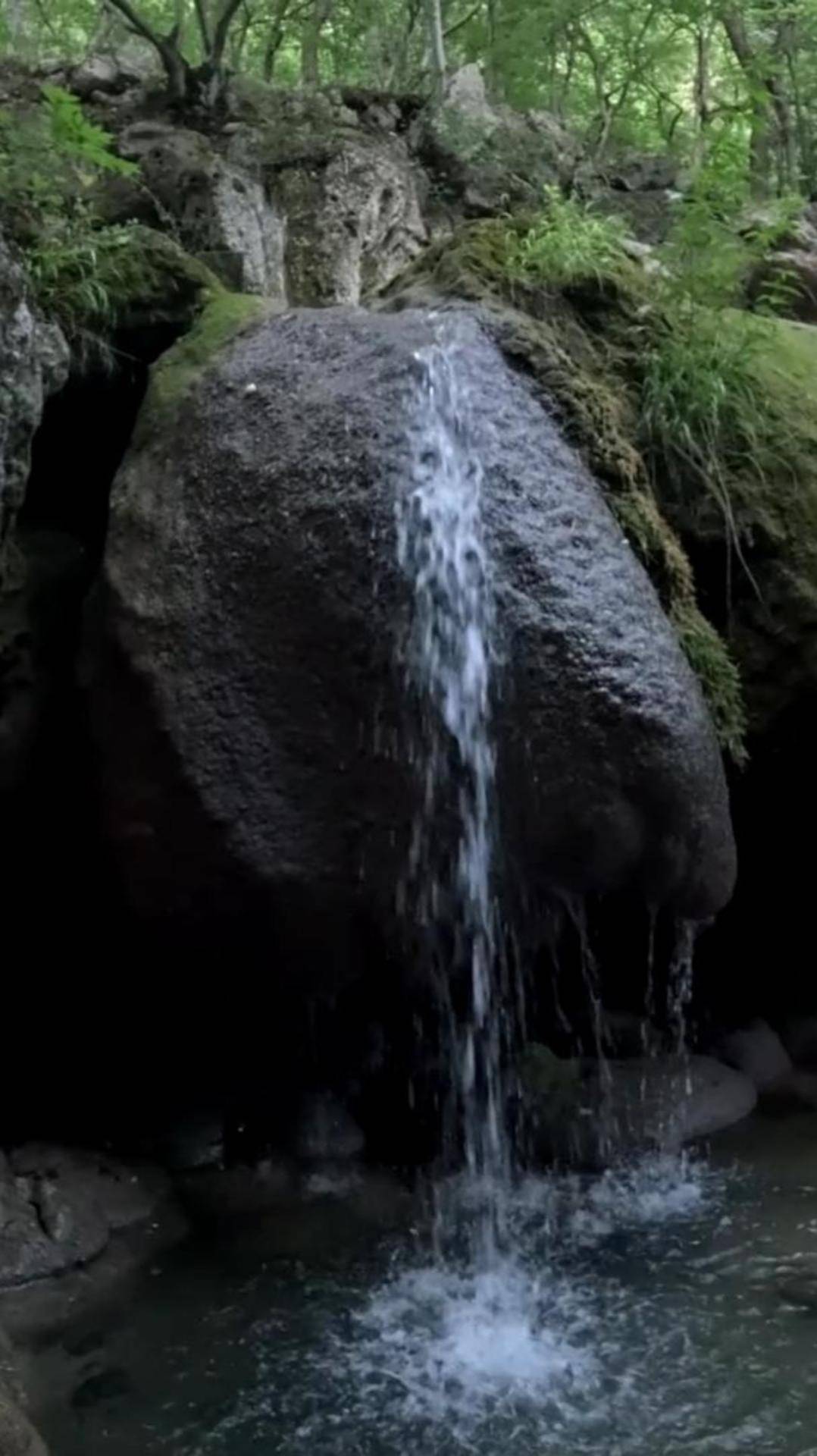 В урочище Кизил-Коба ( село Перевальное, возле Красной пещеры )