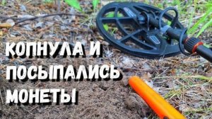 КОПНУЛА ЗЕМЛЮ И ПОСЫПАЛИСЬ МОНЕТЫ. НАШЛА ЗАКЛАДНУЮ