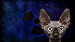 КоТ доступа с Котом Костяном