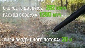 Аккумуляторная воздуходувка Greenworks GD40BPG2 (арт. 2408107)