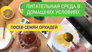 🟡ЧАСТЬ1. ПИТАТЕЛЬНАЯ СРЕДА ДЛЯ ОРХИДЕЙ В ДОМАШНИХ УСЛОВИЯХ #Повессемян #семеннаякоробочка #орхиде