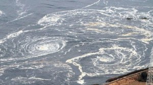 Волны от цунами достигли берегов Японии. Люди поднимаются на крыши домов