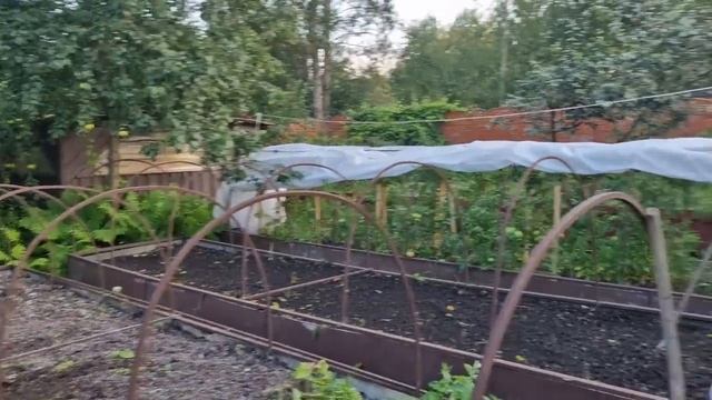 Делаю заготовки ко дню рождения на праздничный стол. Собираю урожай. Жизнь семьи в деревне. смотреть онлайн