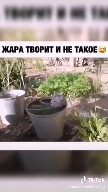 жара☀️☀️☀️☀️ смотреть онлайн