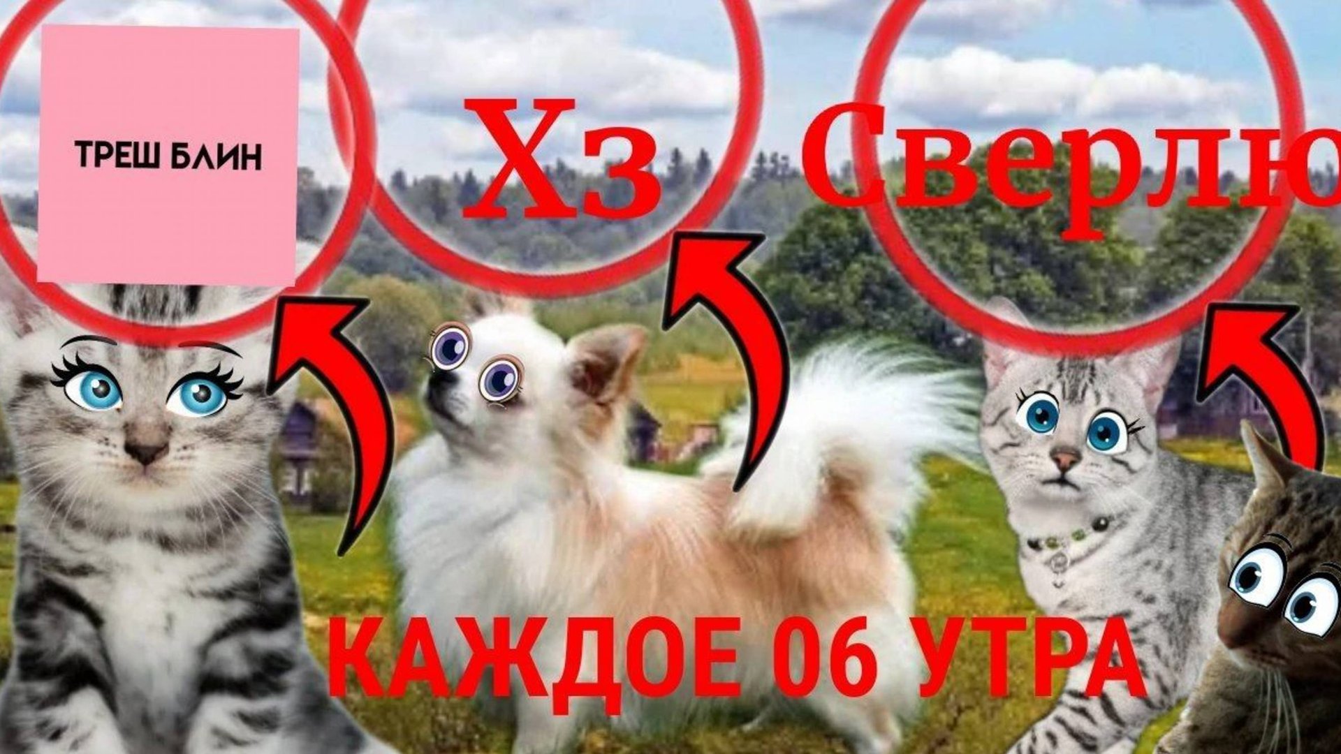 КАЖДОЕ 06:00 У ЯТТЫ ЦАРАПКИ И ШПУЛИ С КОТОМ БАРСИКОМ..