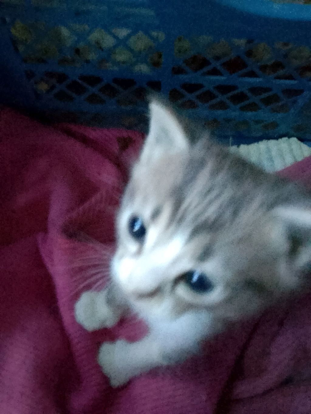 крутой эфир