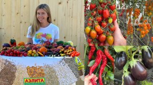 Я В ВОСТОРГЕ 😍 Обзор и дегустация в теплицах Агрофирмы «Аэлита»