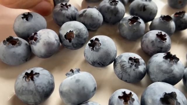 Голубика Торо созрела