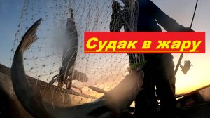 Верховой троллинг. Ловля судака в жару.