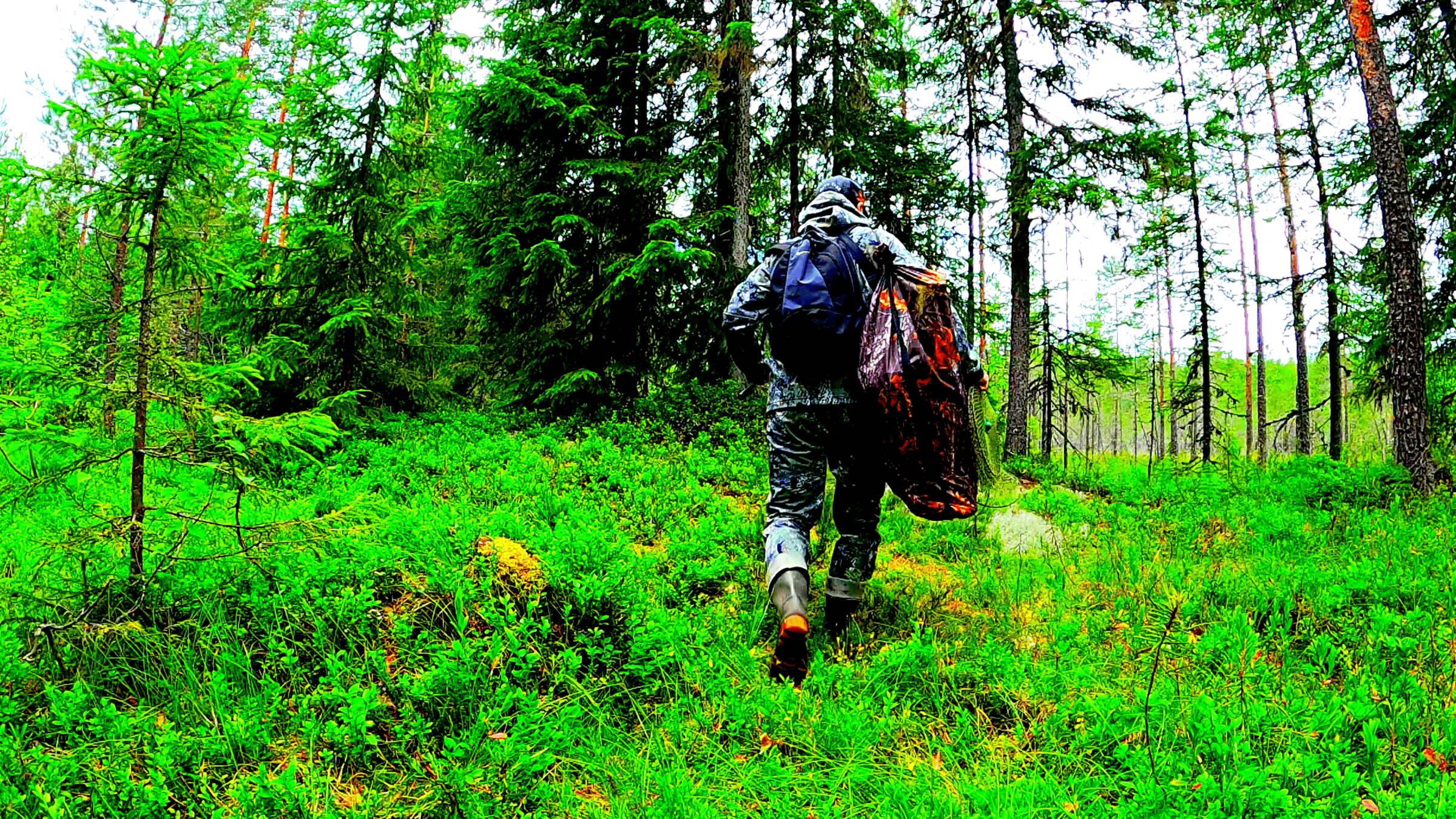 РЫБАК ЗАШЕЛ В ЛЕС НАШЕЛ ОЗЕРО И ОБАЛДЕЛ! РЫБАЛКА В КОНЦЕ ИЮЛЯ 2025. РЫБУ ПОЙМАЛ И ПРИГОТОВИЛ смотреть онлайн