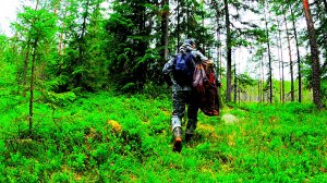 РЫБАК ЗАШЕЛ В ЛЕС НАШЕЛ ОЗЕРО И ОБАЛДЕЛ! РЫБАЛКА В КОНЦЕ ИЮЛЯ 2025. РЫБУ ПОЙМАЛ И ПРИГОТОВИЛ