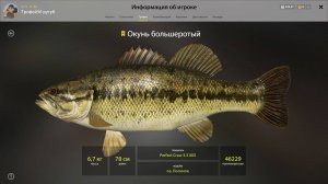 ТРОФЕЙ ОКУНЬ БОЛЬШЕРОТЫЙ!!!ЛОСИНОЕ - РУССКАЯ РЫБАЛКА 4