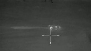 Заночевали на болоте дичи море