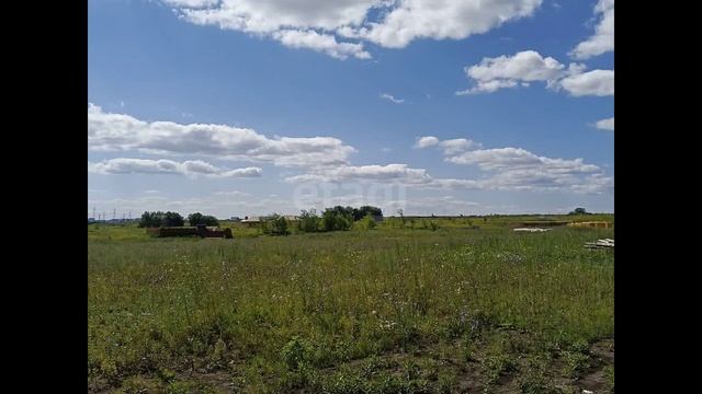 9095199 смотреть онлайн