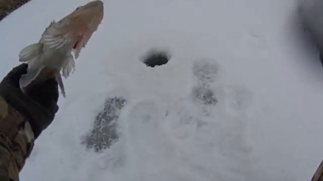 Рыбалка в Астрахани зимой смотреть онлайн