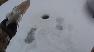 Рыбалка в Астрахани зимой