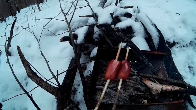 Выживание в глухом лесу, построил лесную избу! смотреть онлайн