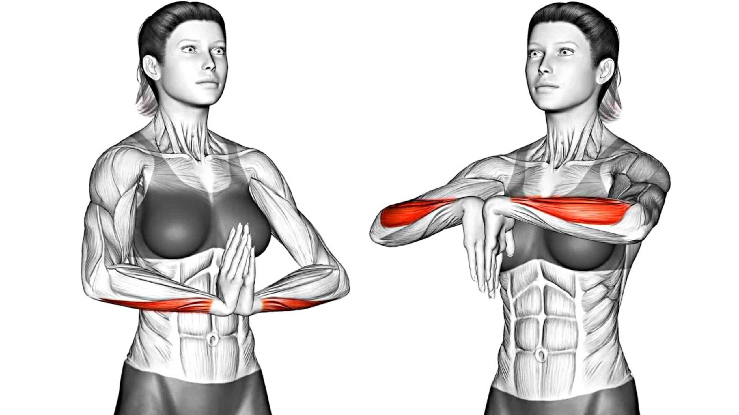 10 простых Разминочных Упражнений на Растяжку Рук смотреть онлайн