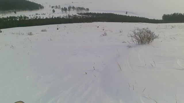 Охота на матёрых зайцев смотреть онлайн