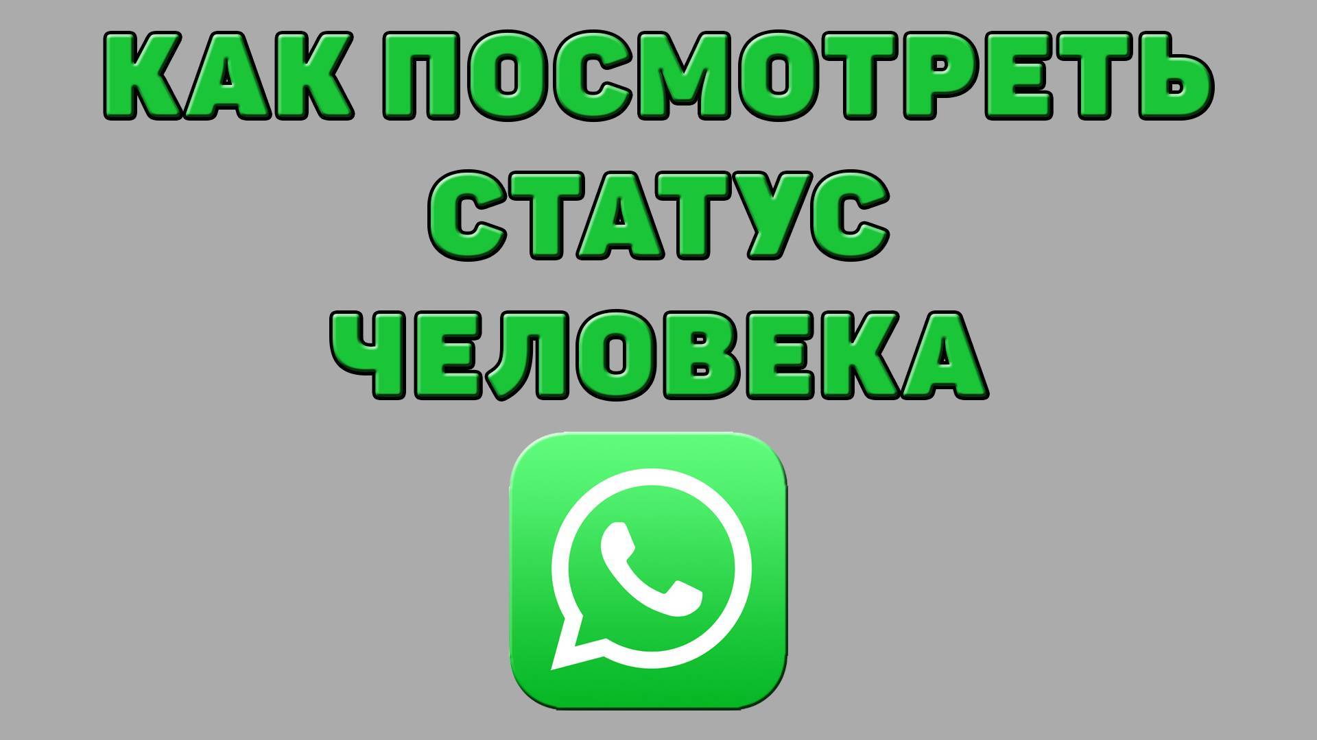 Как посмотреть статус человека в Ватсапе смотреть онлайн