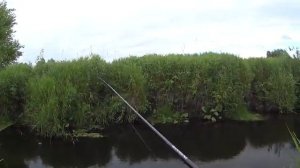 Рыбалка на спиннинг