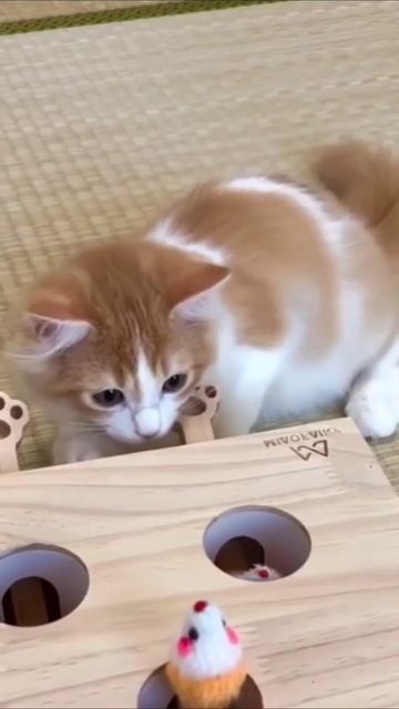 Охотник смотреть онлайн