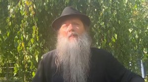 Духовная телеграмма из русского дворика с березовой сенью, 29 июля 2025