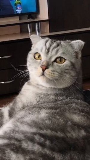 когда приходят деньги на карту #shorts