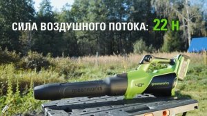 Аккумуляторная воздуходувка Greenworks GD40BG3 (арт. 2408207)