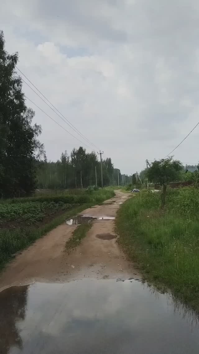 Красота природы и атмосферы смотреть онлайн