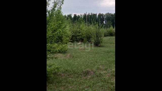 5881192 смотреть онлайн