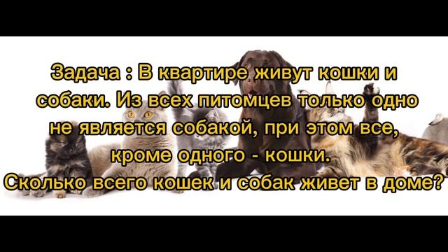 Логический тест смотреть онлайн