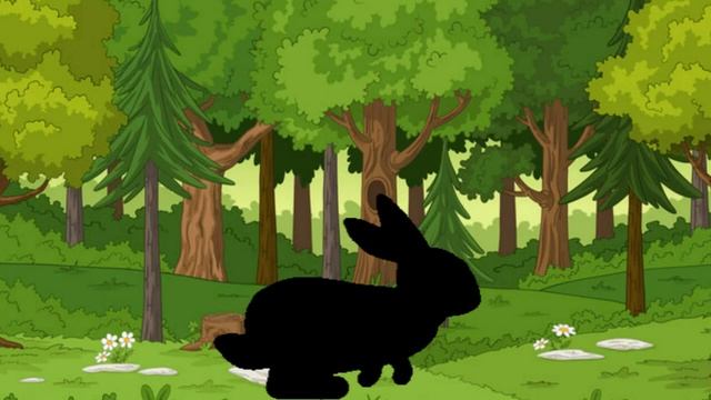 Forest_Animals_Animal_Shadow_Detectives!_Guess_the_Animal! смотреть онлайн